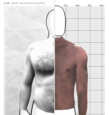 Torso Comparison