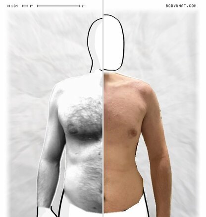 Torso Comparison