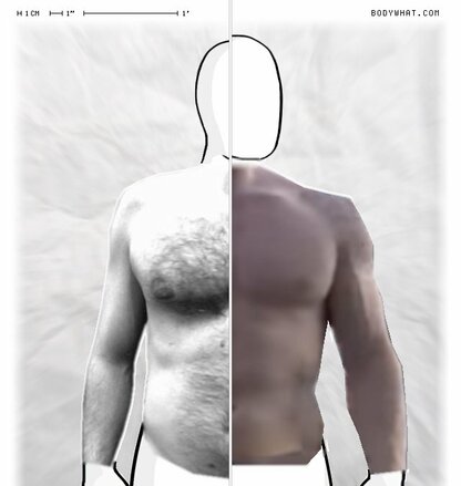 Torso Comparison