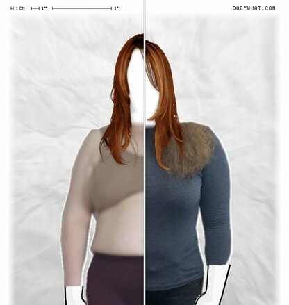 Torso Comparison