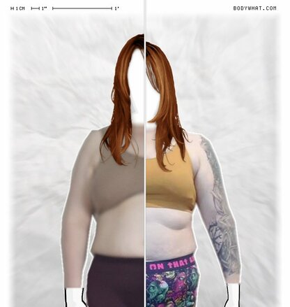 Torso Comparison