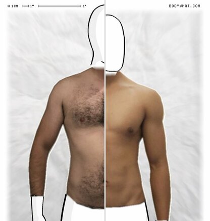 Torso Comparison