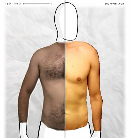 Torso Comparison