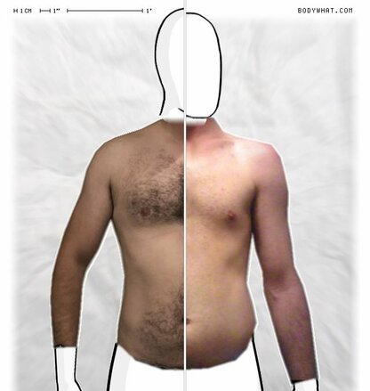 Torso Comparison