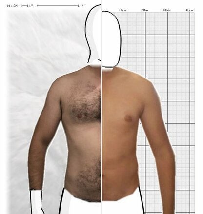 Torso Comparison