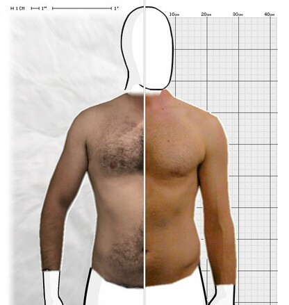 Torso Comparison