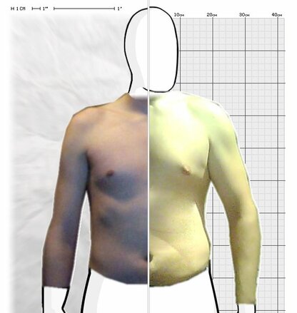 Torso Comparison