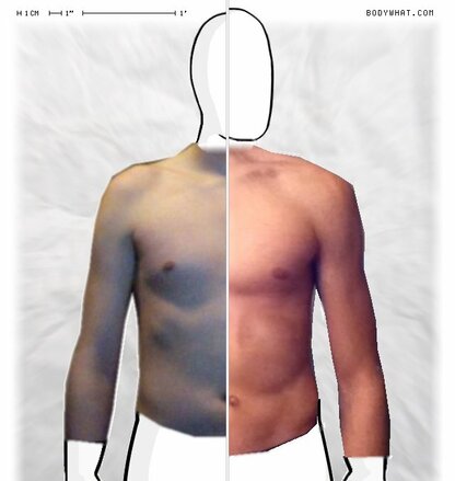 Torso Comparison