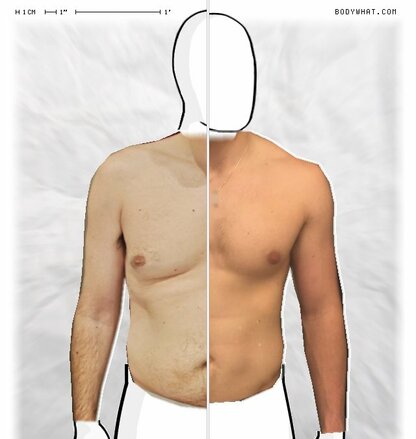 Torso Comparison
