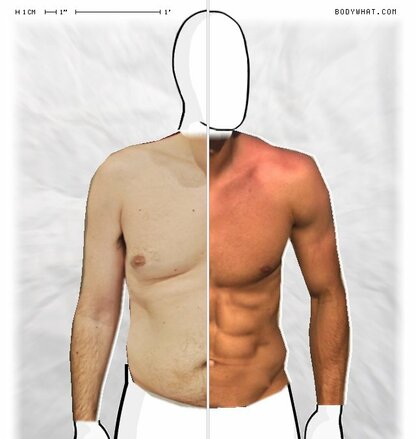 Torso Comparison