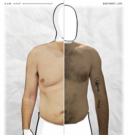 Torso Comparison