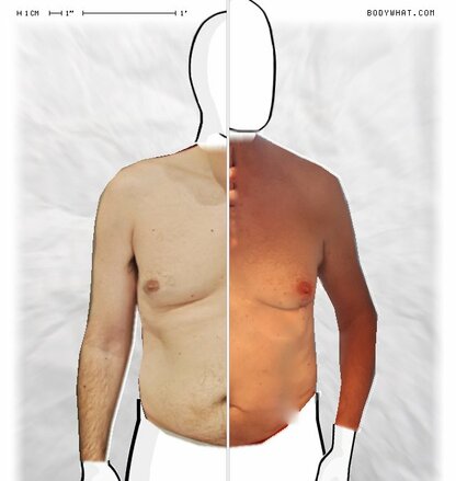 Torso Comparison