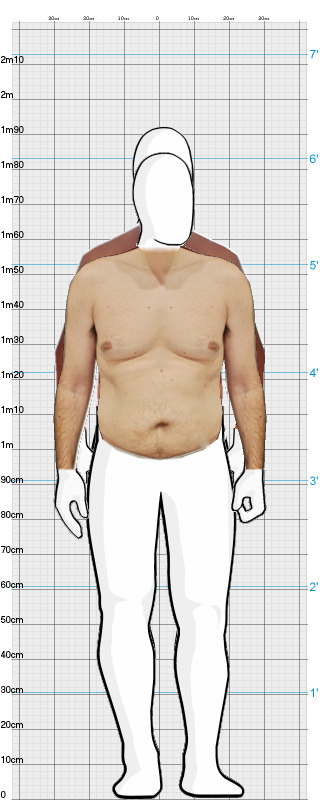 Full Size Comparison