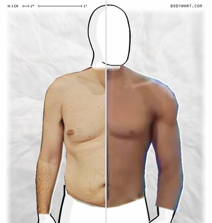 Torso Comparison