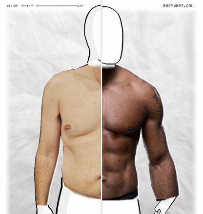 Torso Comparison