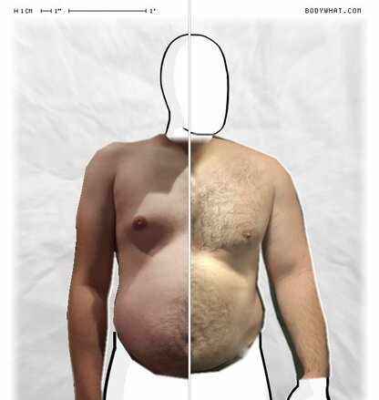 Torso Comparison