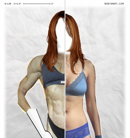 Torso Comparison