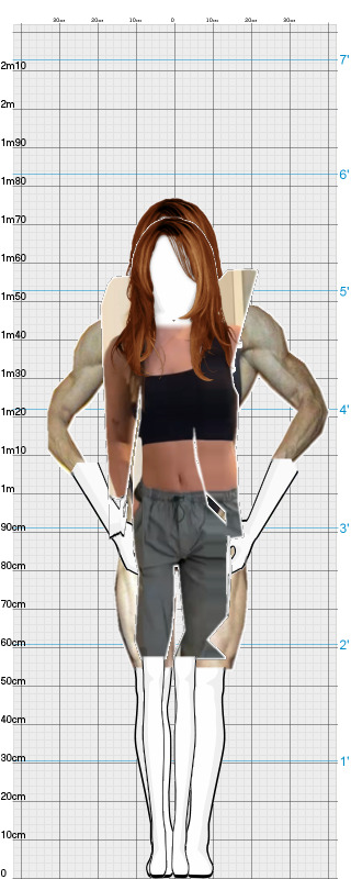 Full Size Comparison