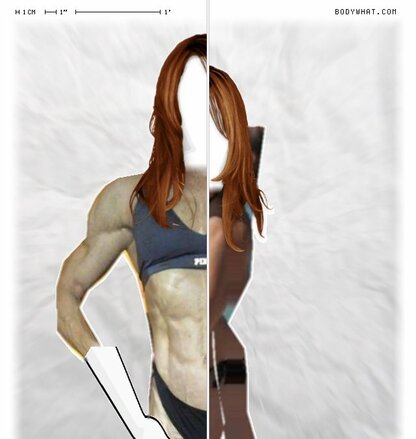 Torso Comparison