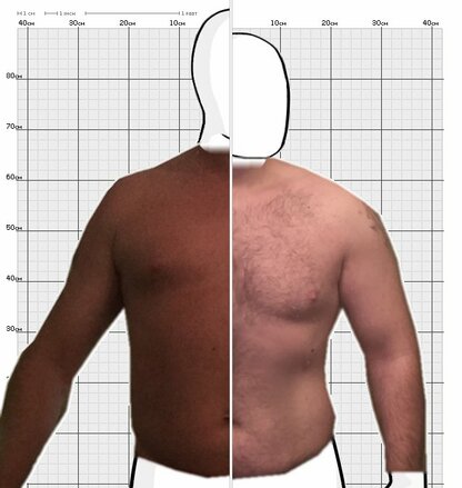 Torso Comparison