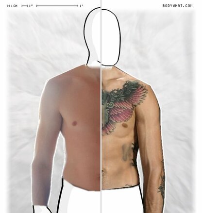 Torso Comparison