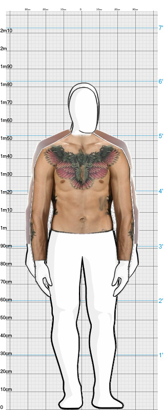 Full Size Comparison