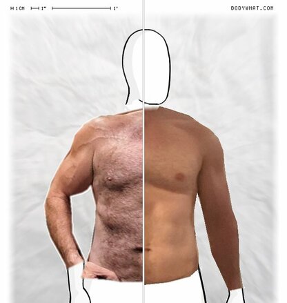 Torso Comparison