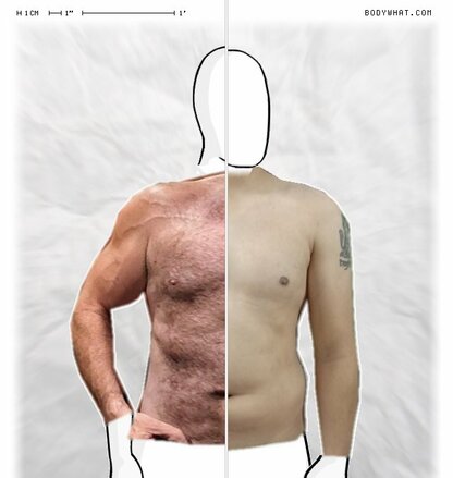 Torso Comparison