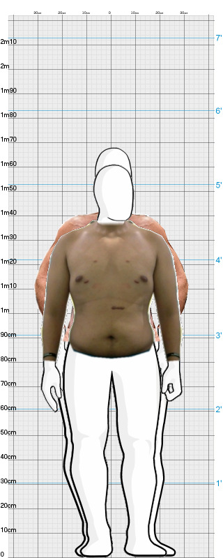 Full Size Comparison