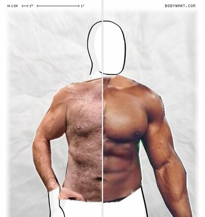 Torso Comparison