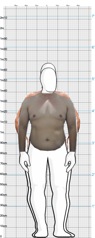 Full Size Comparison