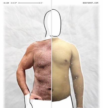 Torso Comparison