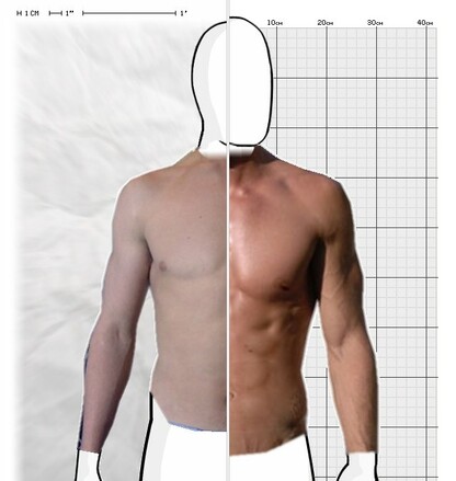 Torso Comparison