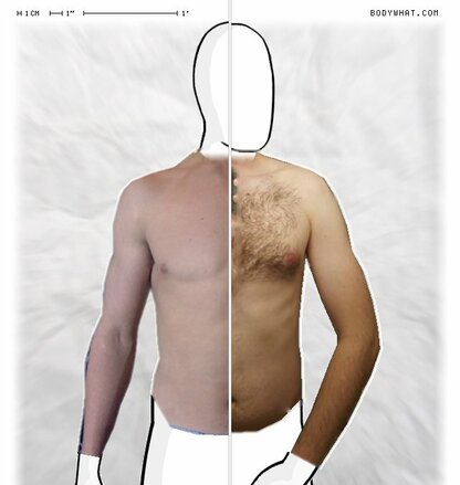 Torso Comparison