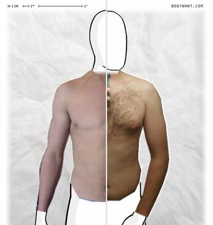 Torso Comparison