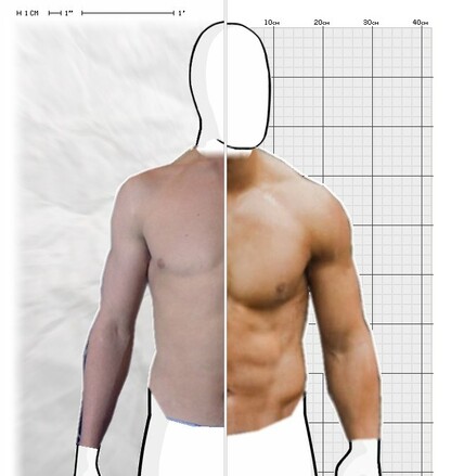 Torso Comparison