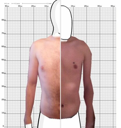 Torso Comparison