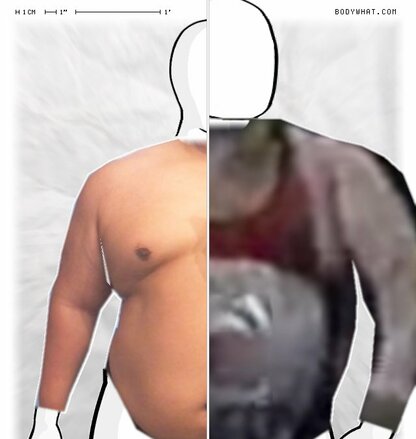 Torso Comparison
