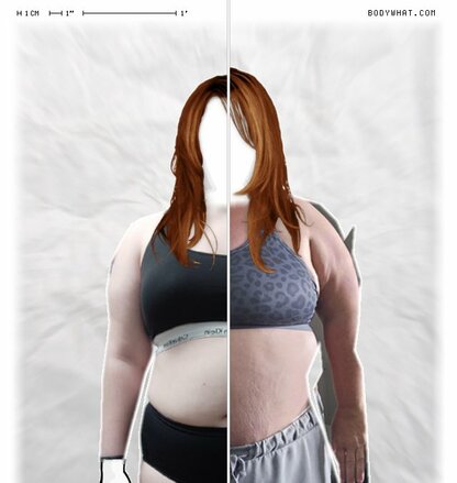 Torso Comparison
