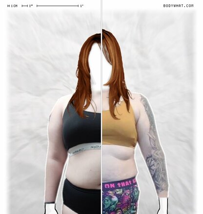Torso Comparison