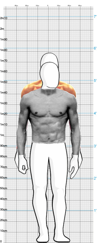 Full Size Comparison