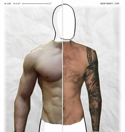 Torso Comparison