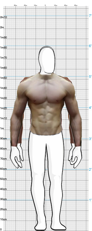 Full Size Comparison