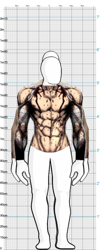 Full Size Comparison