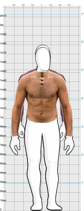 Full Size Comparison