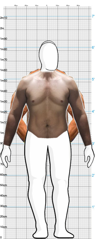 Full Size Comparison