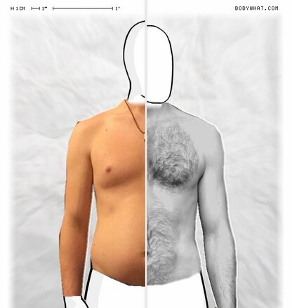 Torso Comparison