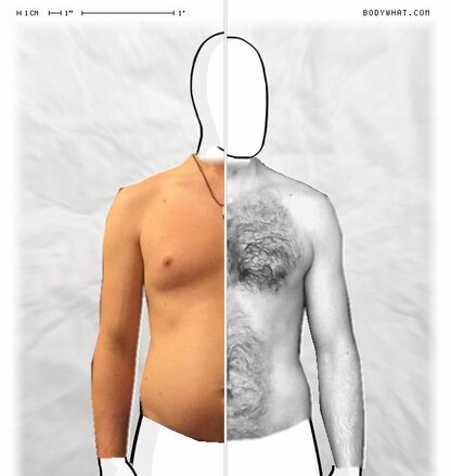 Torso Comparison