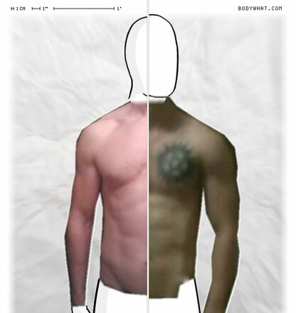 Torso Comparison