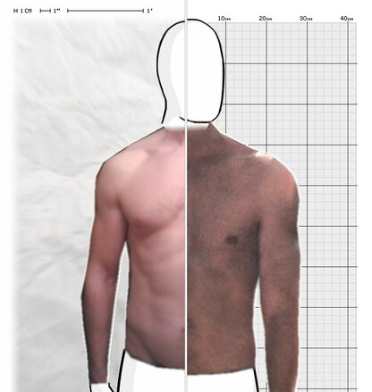 Torso Comparison